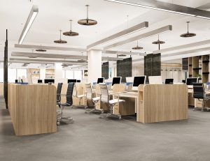 Paradigm Interior - image