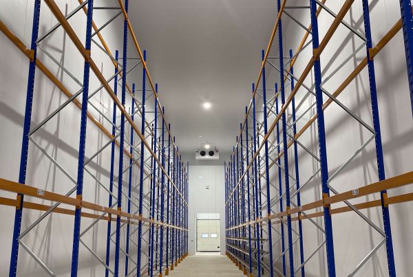 Paradigm Interior - Bedford